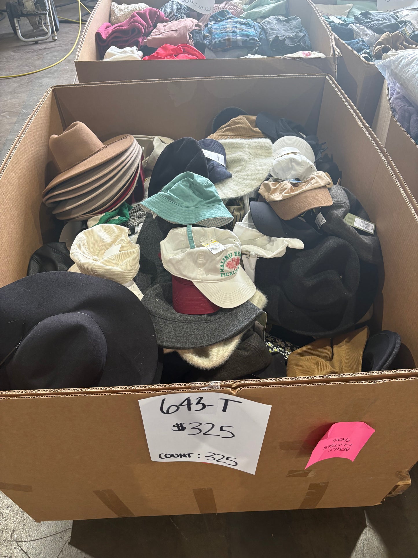 Assorted Hats & Headwear Pallet - Count 325 (643-T)