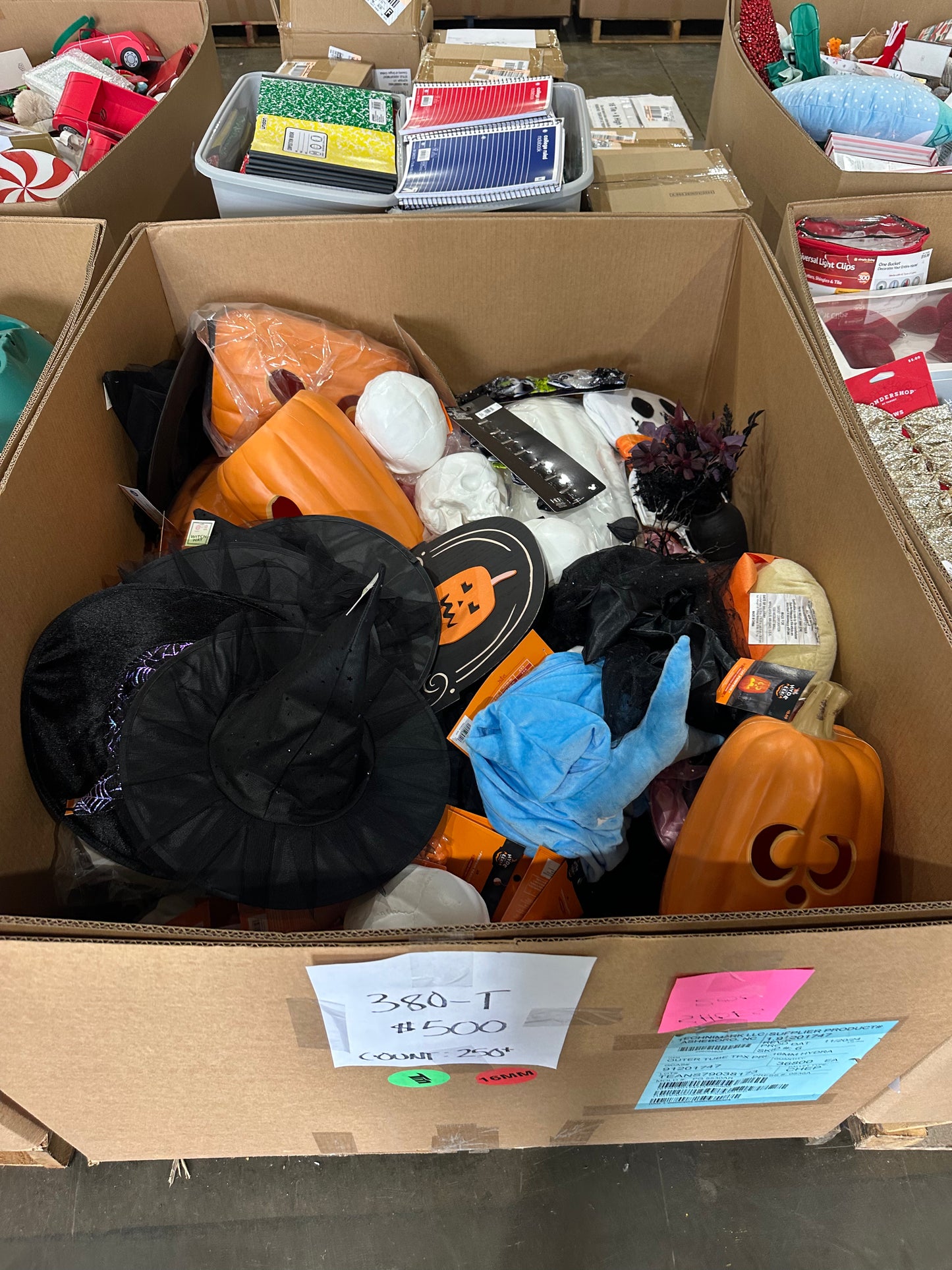 Halloween Décor & Costumes (380-T)