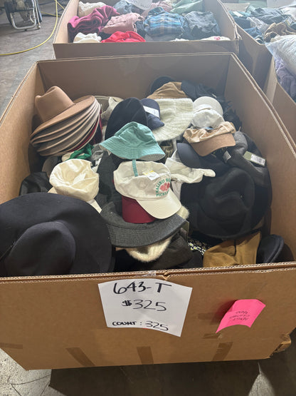 Assorted Hats & Headwear Pallet - Count 325 (643-T)