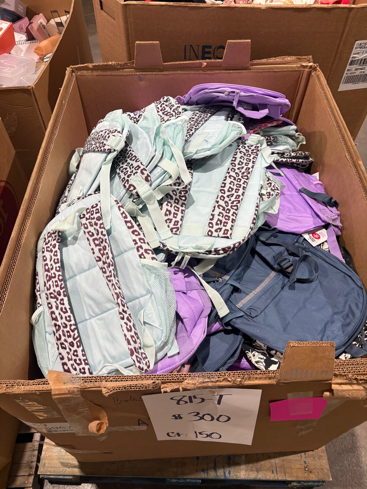 Assorted Youth & School Backpacks Pallet – Count 150 | General Merchandise 815-T