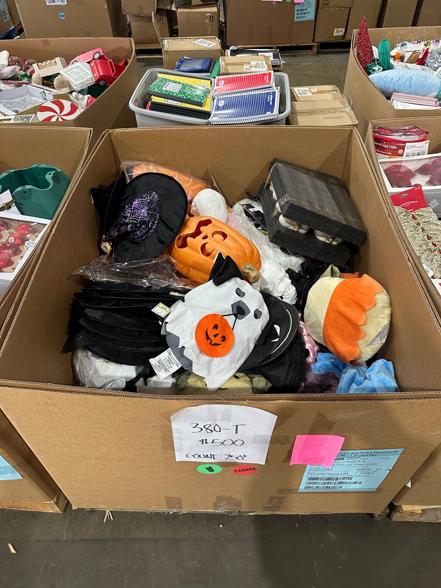 Halloween Costumes & Accessories - (380-T)