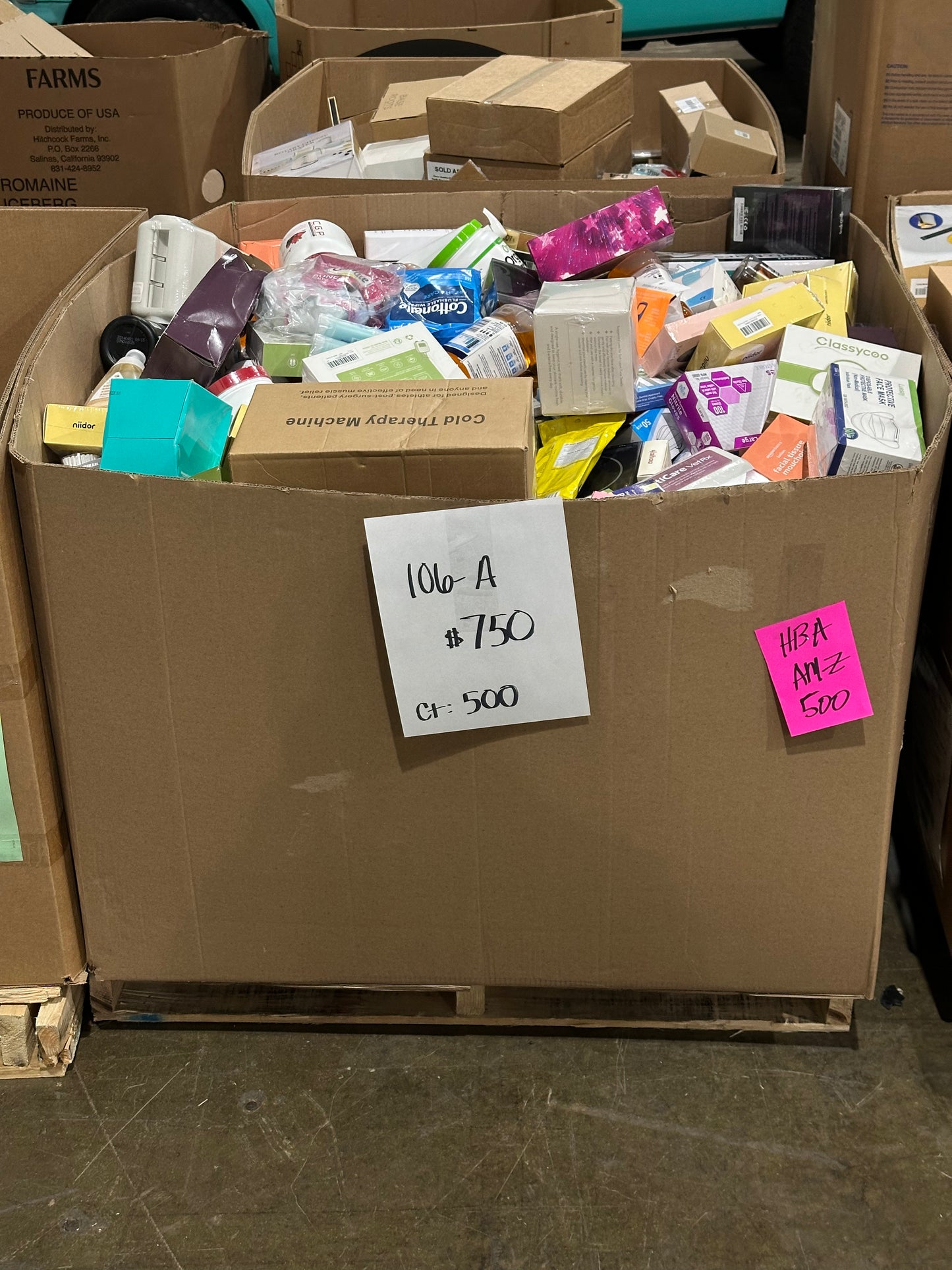 Health & Wellness Liquidation Pallet – 106-A