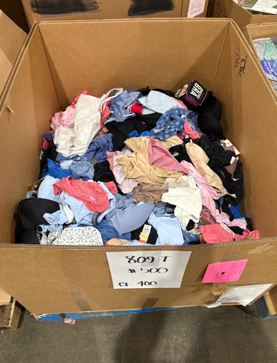 Women's Intimates & Loungewear Pallet – Count 400 | Health & Beauty 809-T