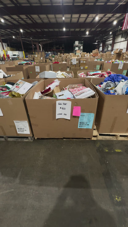 Holiday Ornaments, Decor & Apparel Pallet - (366-TGT)