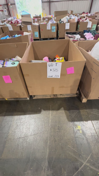 Mixed General Merchandise & Toys Pallet - Count 221 (632-T)