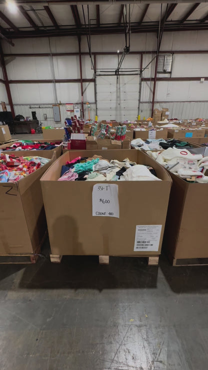 Clothing & Apparel Pallet (331-TGT)