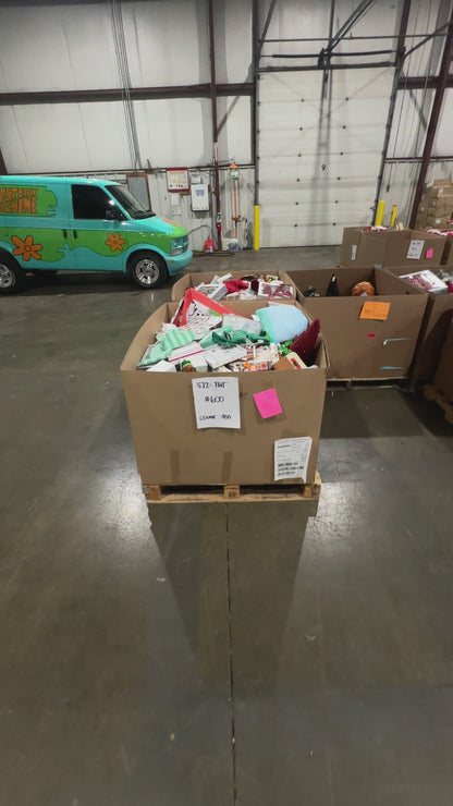 Mixed Holiday Giftware & Accessories Pallet - (372-TGT)