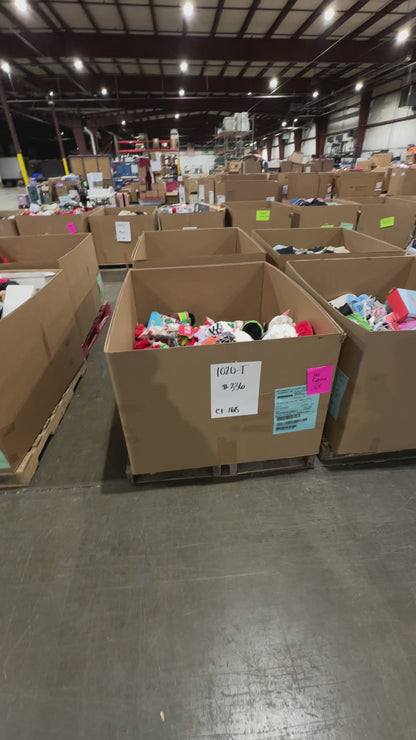 Holiday Pet Supplies & Apparel Pallet – 1020-T