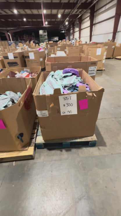 Assorted Youth & School Backpacks Pallet – Count 150 | General Merchandise 815-T